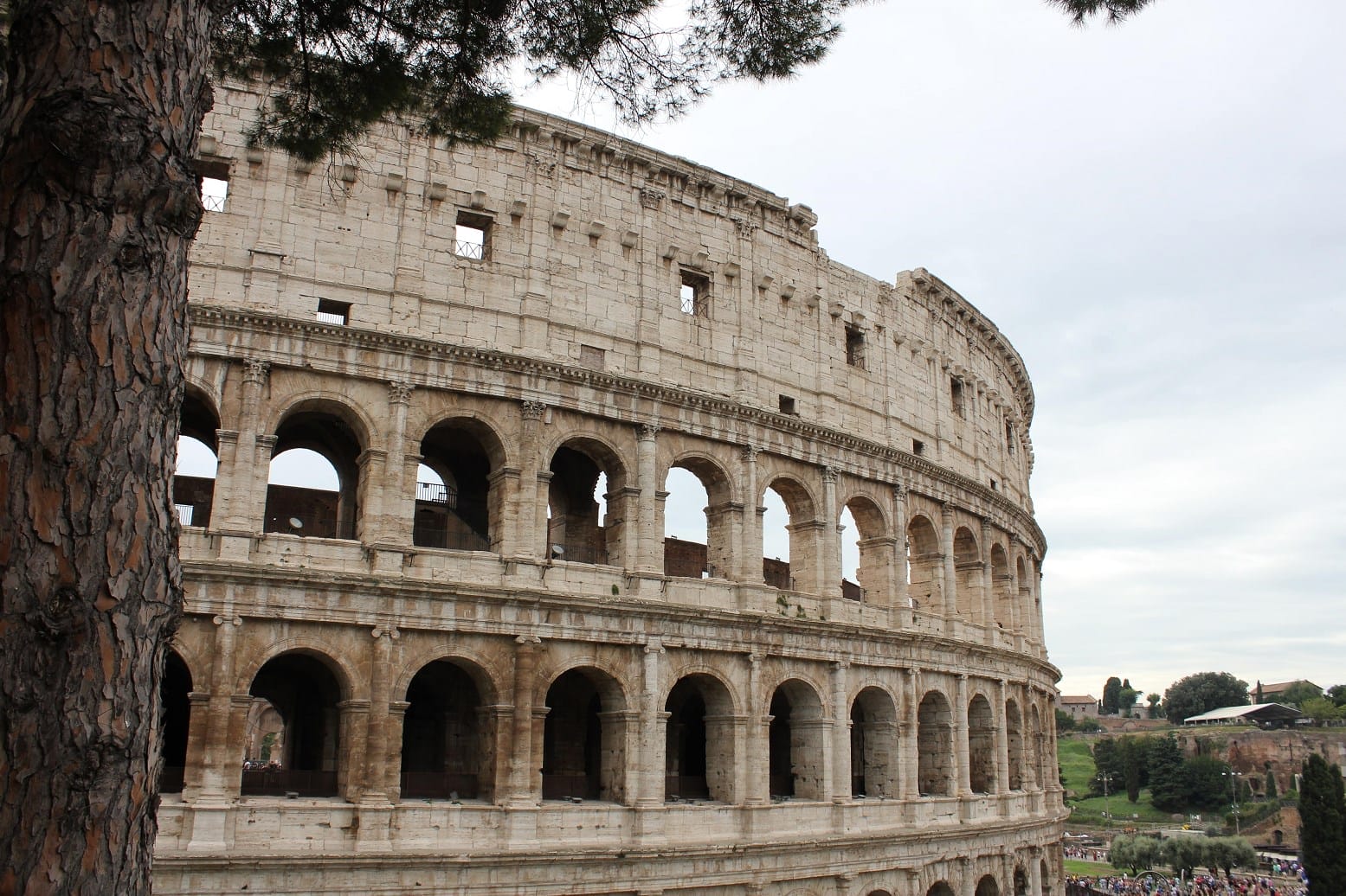 colosseum facts header