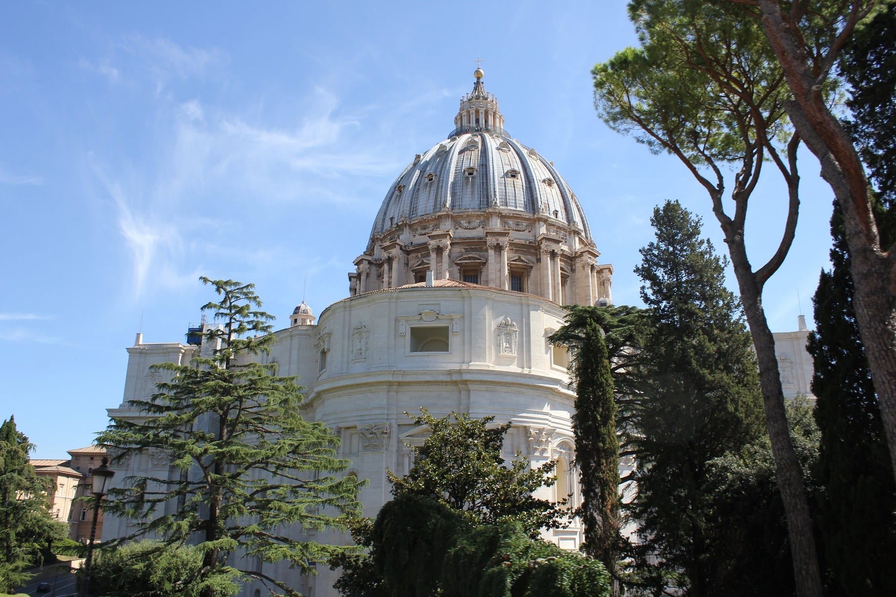 colosseum facts saint peters basilica