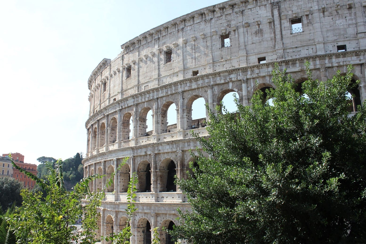 colosseum tours underground Header