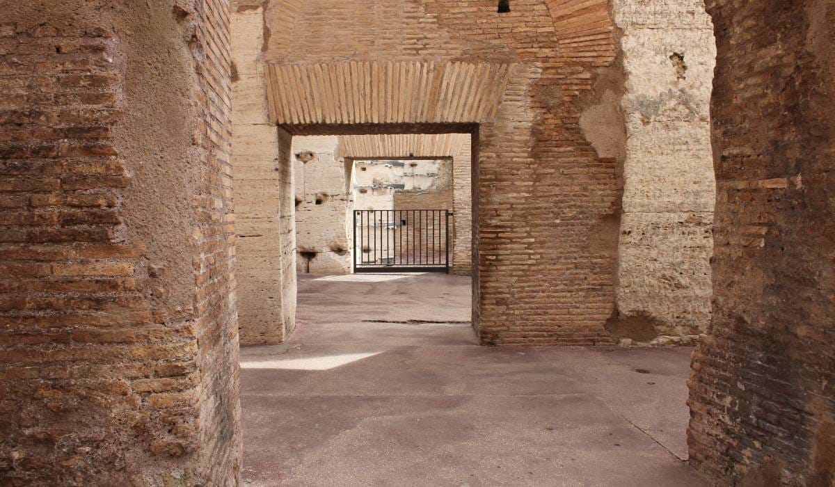 Buy Colosseum private tour