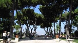 Giardino degli Aranci: An Orange Garden Rome Complete Guide